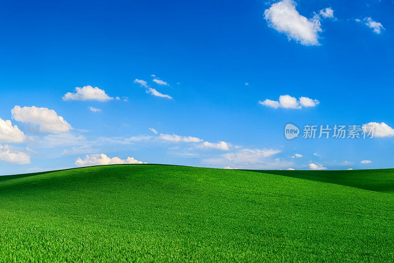 春景――草甸，蓝天