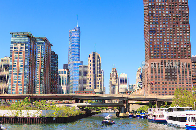 芝加哥河和城市景观