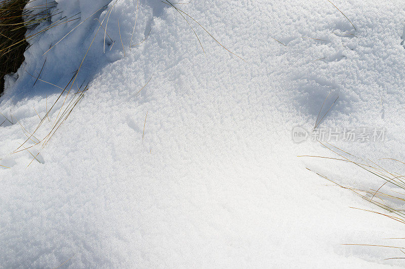 草地上刚下过雪