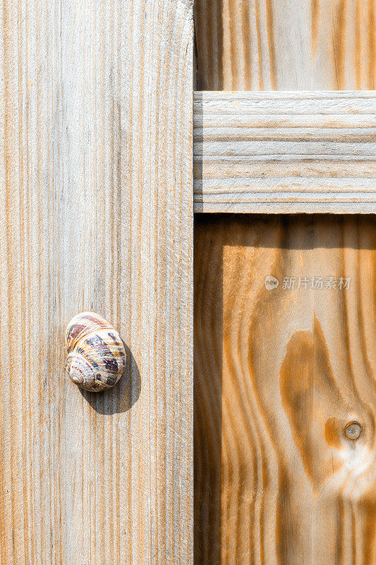 Brut木栅栏墙的特写与木板和蜗牛壳下的阳光