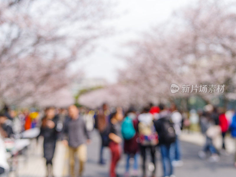 在春天樱花盛开期间，游客在公园的散焦图像。