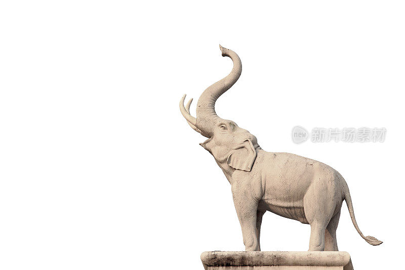 白色背景上的大象雕像