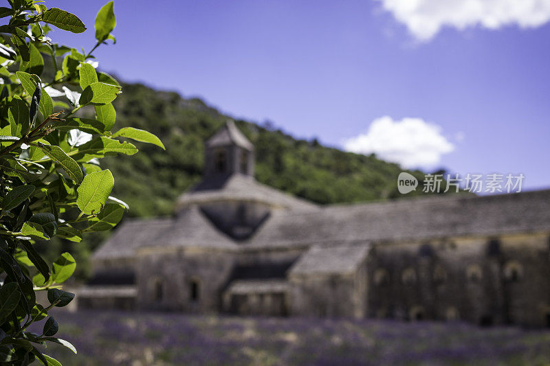 圣母院修道院