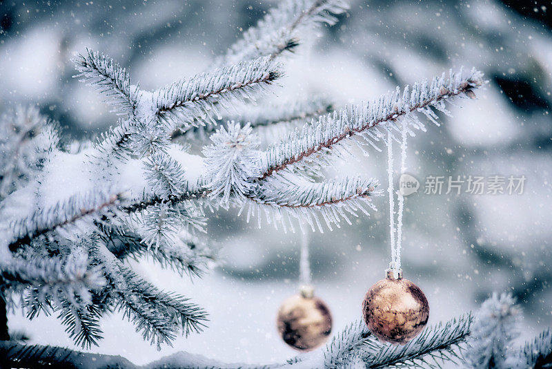 圣诞装饰与暴风雪