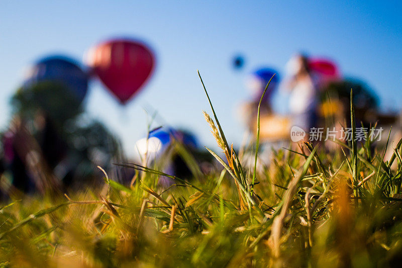 草地后面的热气球