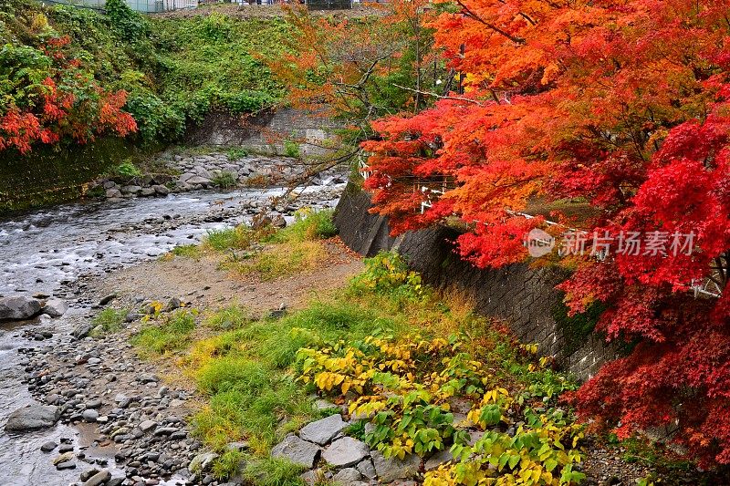 青森县黑石的中野百山秋叶