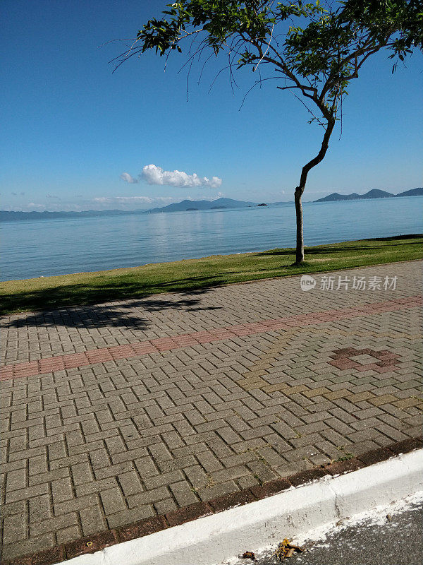 边境上有椰子树和FLorianópolis的木板路，可以看到大海