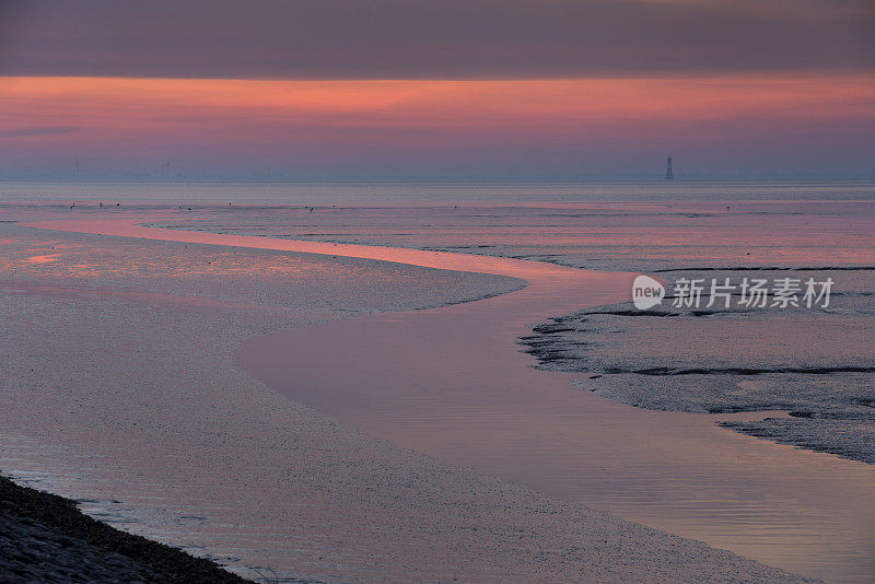 黎明和退潮在玉湾潮汐池，Wattenmeer国家公园，德国北海