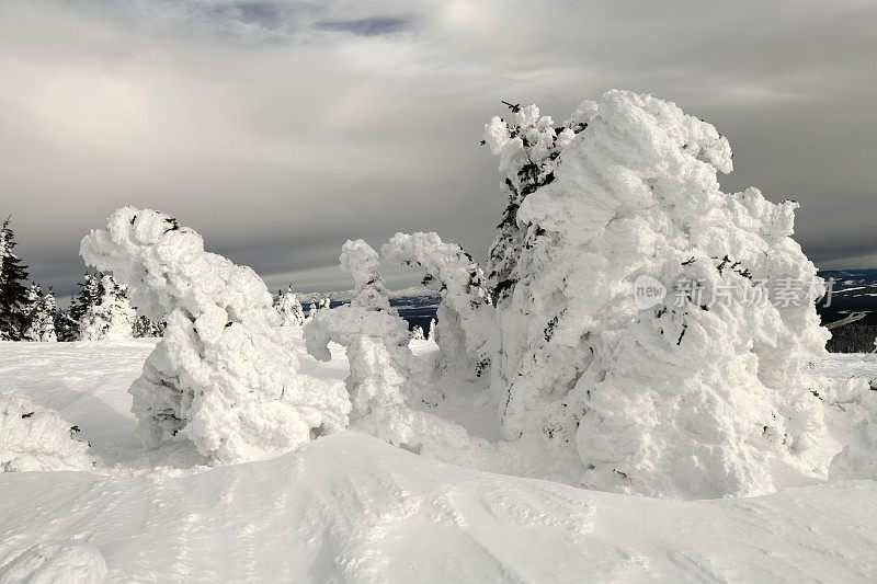 雪鬼