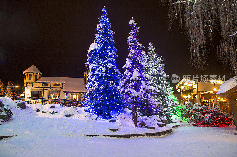 圣诞树,西雅图,美国,北美洲,利文沃斯