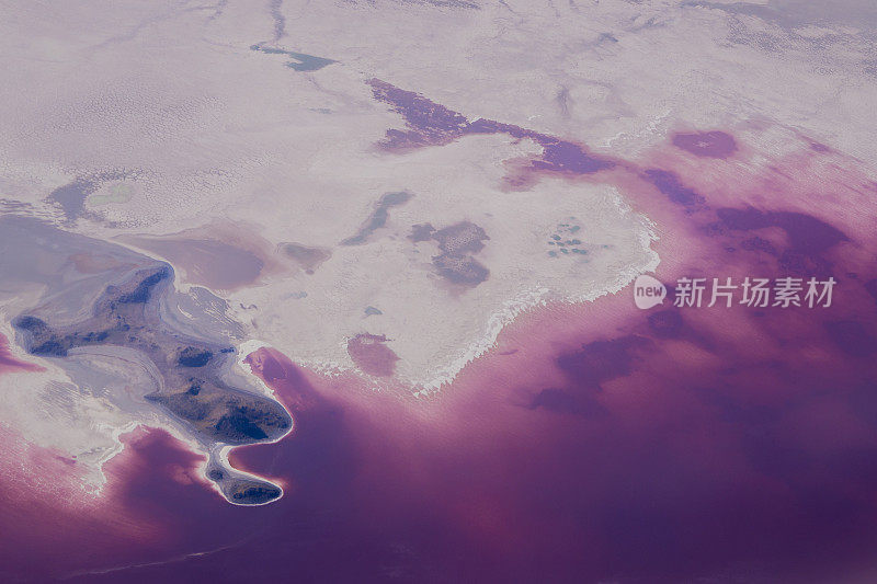 大盐湖奇特而多彩的红色海岸线