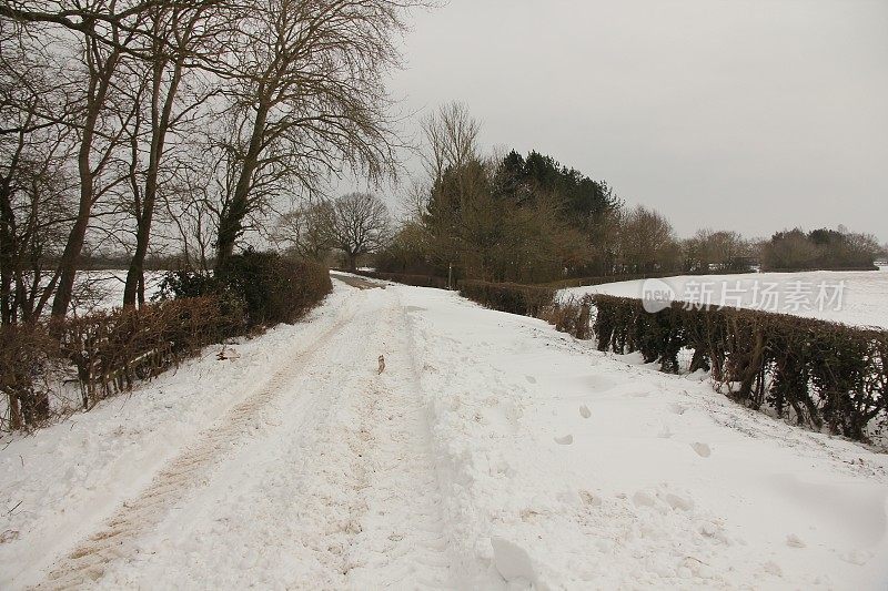 被雪堵塞的乡村道路