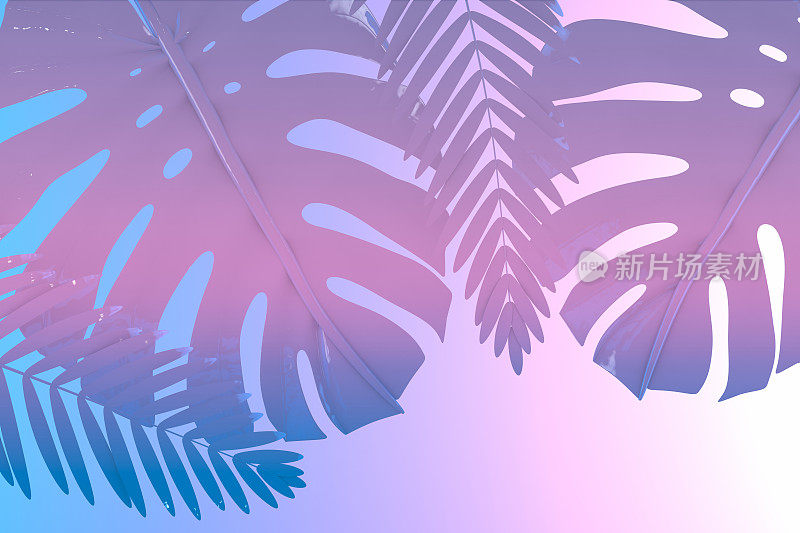 热带棕榈叶在充满活力的大胆渐变霓虹颜色。简约超现实的夏日背景。