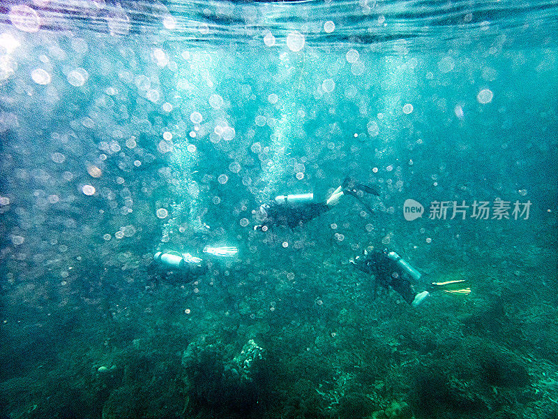 Scuba潜水者