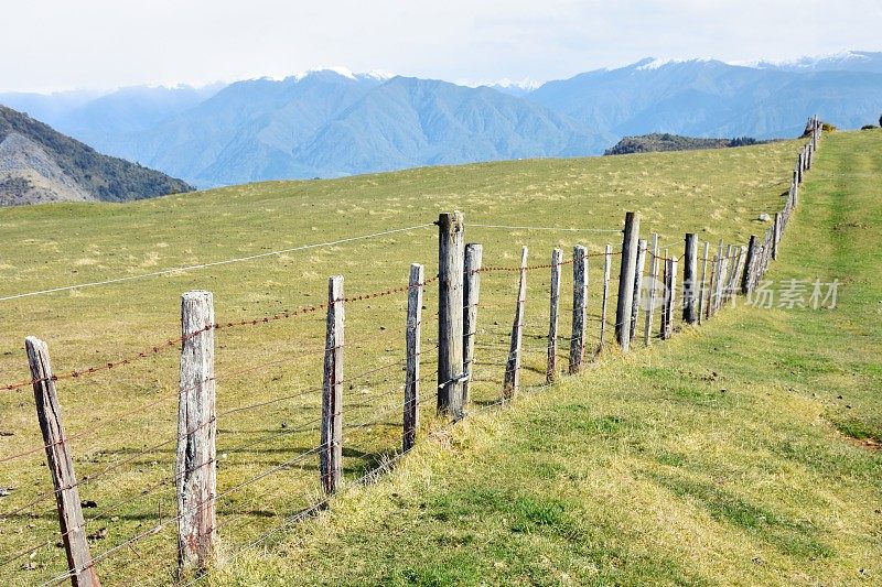 新西兰，乡村篱笆和景观