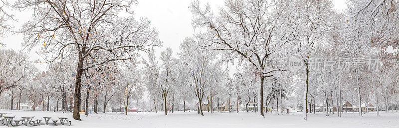 公园里满是雄伟的老橡树和枫树，上面覆盖着厚重而美丽的积雪。