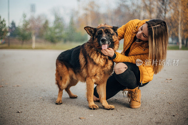 年轻女子和德国牧羊犬在公园里玩