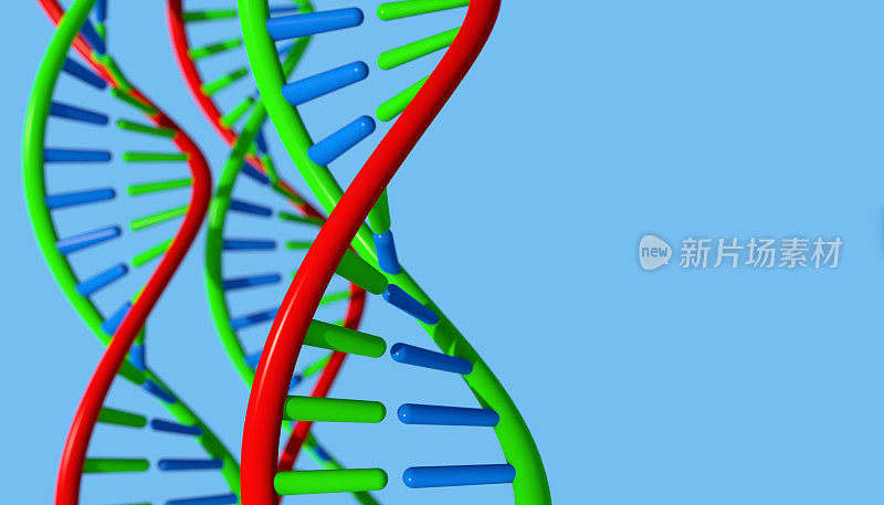 dna分子生物化学的概念