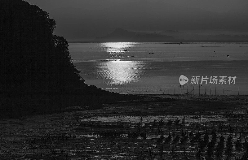 阳光普照在福建霞浦海岸的泥滩上