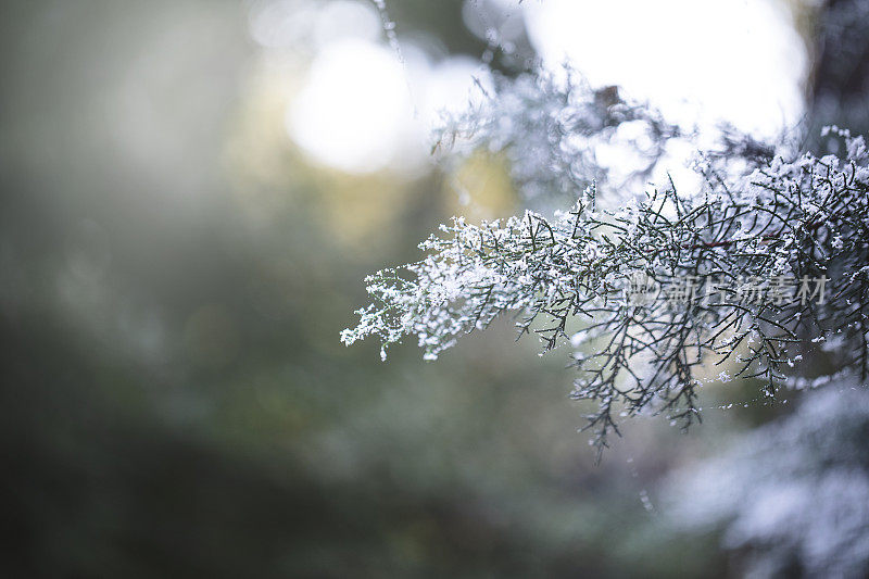 冬天下雪的背景