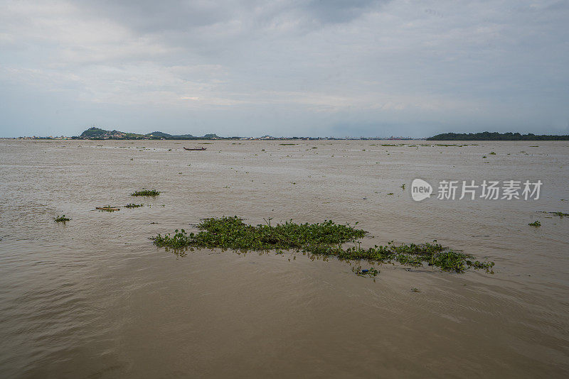 大雨过后，厄瓜多尔瓜亚基尔的瓜亚斯河被杂草和其他植物污染