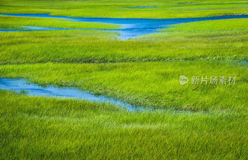 洪水盐沼