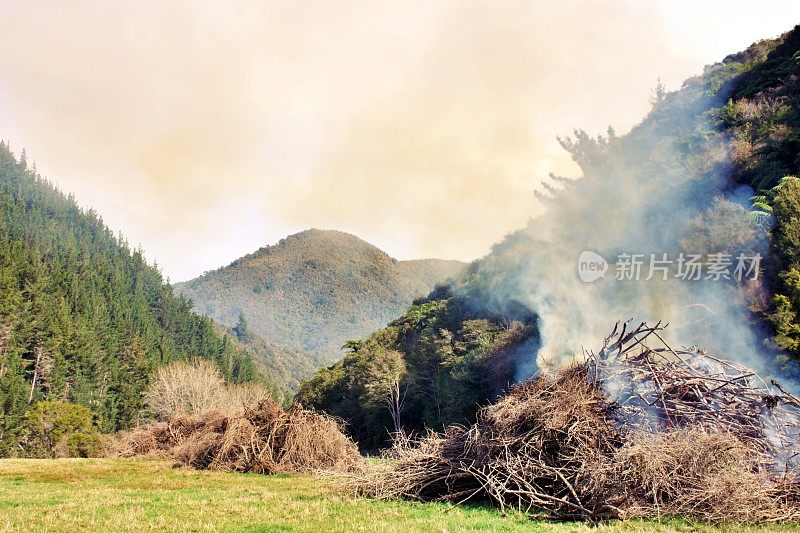 乡村场景中火被控制燃烧