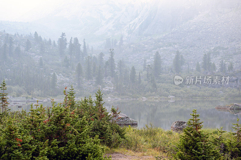 针叶林。西伯利亚。清晨湖面上的山景。