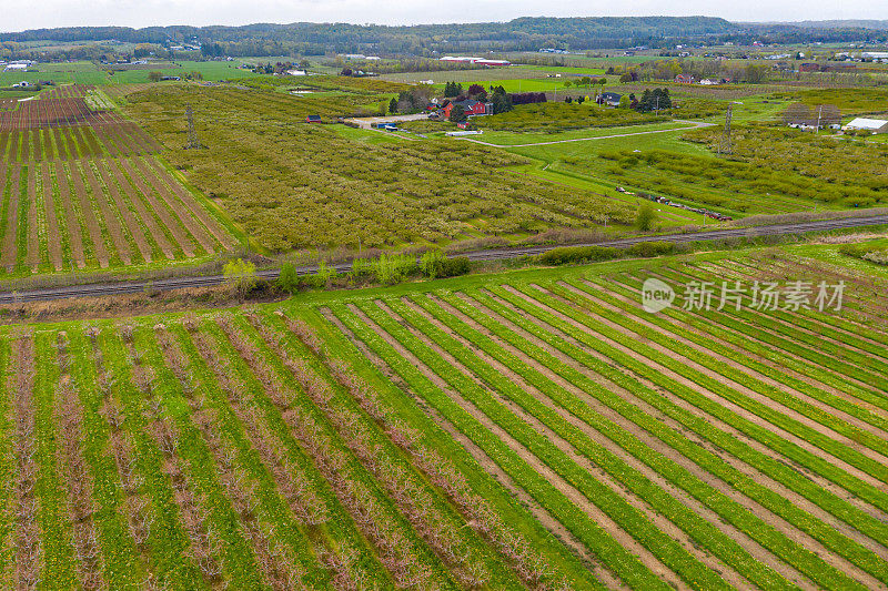 春季在加拿大安大略省尼亚加拉瀑布地区的农场和果园