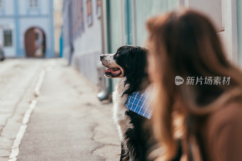 快乐的年轻女性分享特别时刻与她的狗在户外