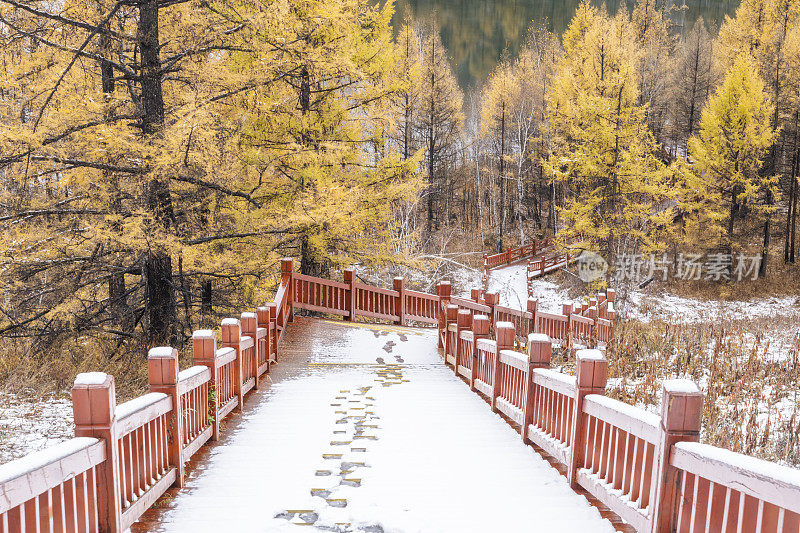 湖边树林里的木质楼梯上覆盖着积雪和脚印