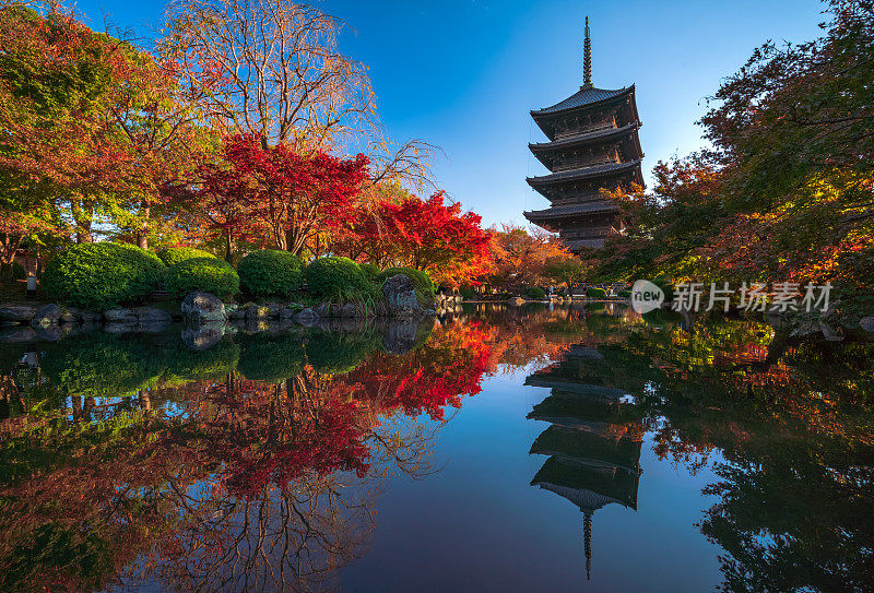 日本京都东寺的木塔，上面有美丽的枫叶