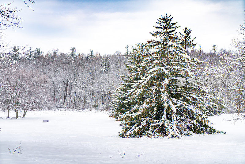 博伊德保护公园的伍德布里奇在冬天，沃恩，加拿大