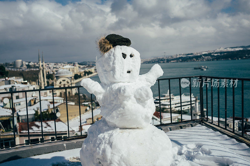 雪人屋顶