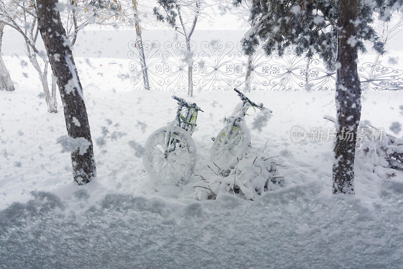 两辆被雪覆盖的胖自行车