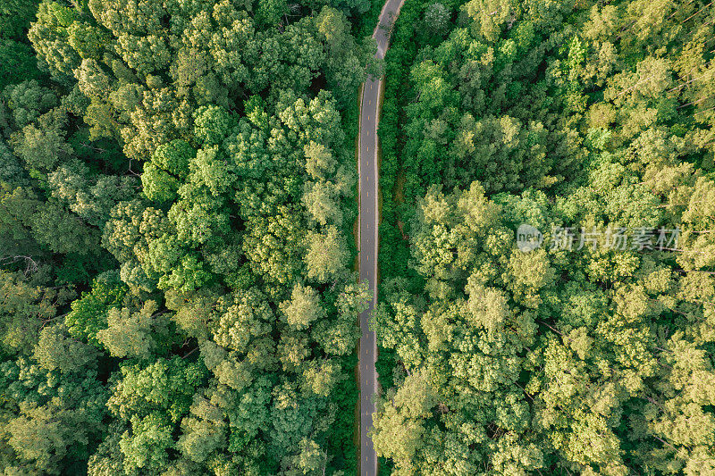 空中的跑步，步行，和自行车的森林小径