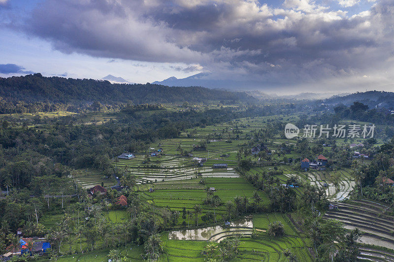 印度尼西亚巴厘岛塞德门村的空中景观
