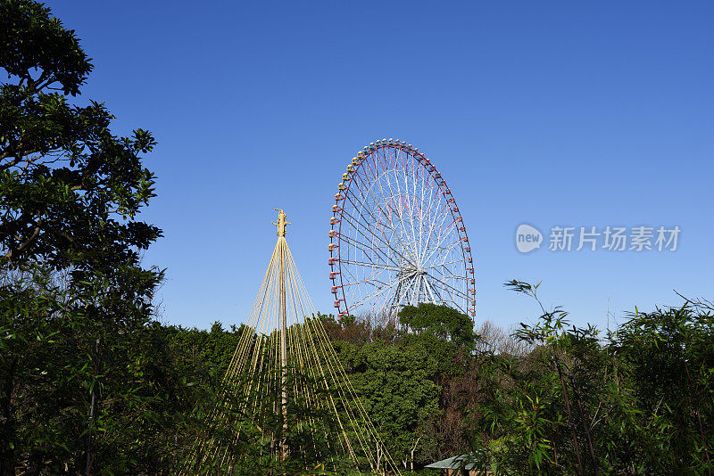 大摩天轮从森林里望出去。