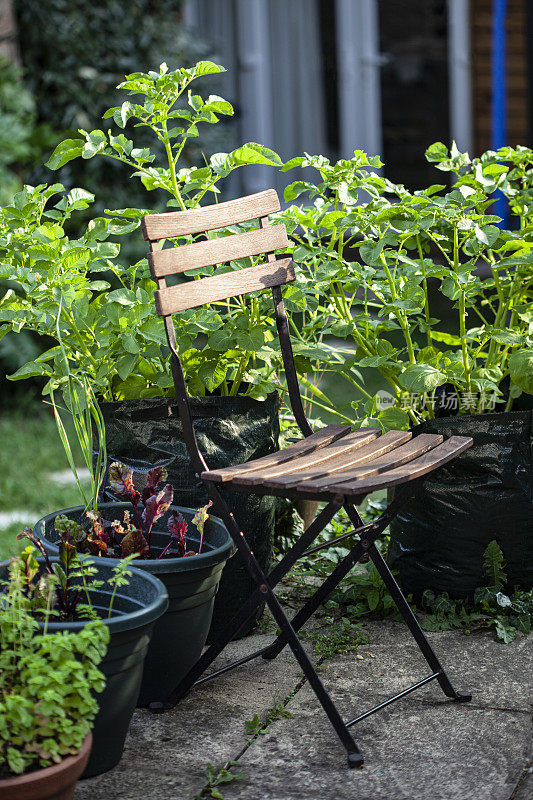有机小花园中的椅子，上面有花盆和植物袋