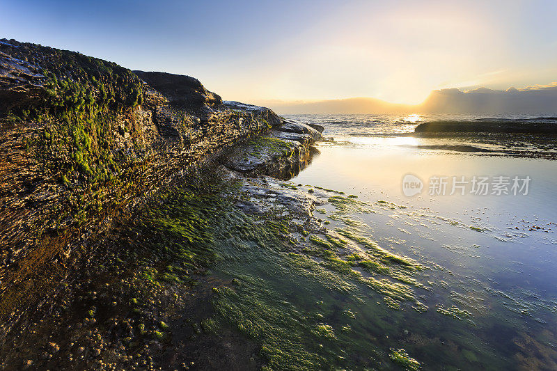 海的卷曲苔藓岩石太阳