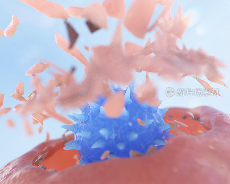 NK细胞(自然杀伤细胞)攻击癌细胞