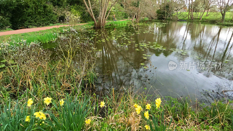 水仙花湖，春树，阳光，风景秀丽，风景一般，季节路巷乡村