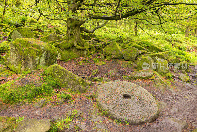 磨石，帕德利峡谷，山顶区国家公园，英格兰，英国