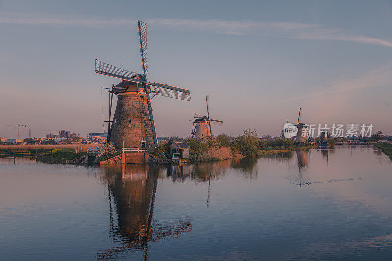 日出时的传统风车群，Kinderdijk，荷兰，世界遗产。