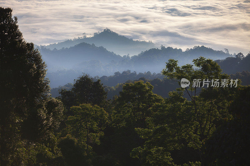 美丽的阳光在山上，一个雾蒙蒙的早晨在清迈，泰国