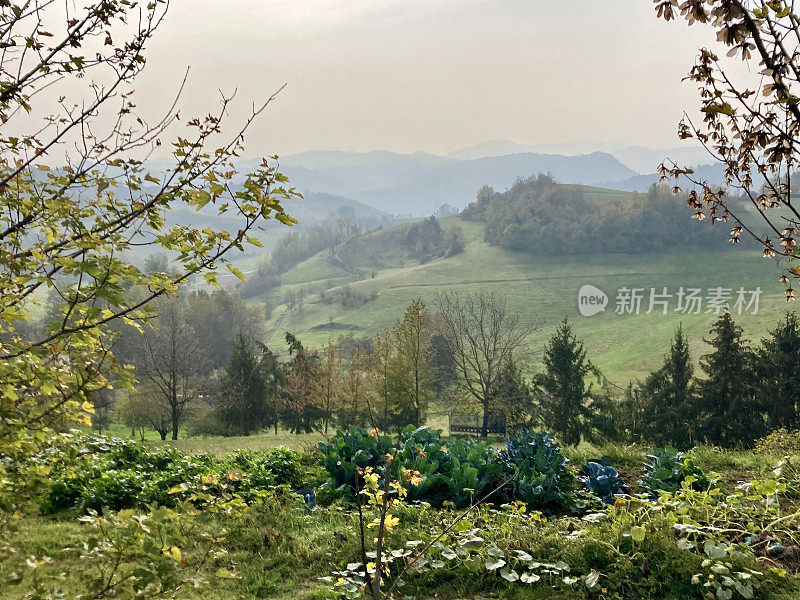 意大利-皮埃蒙特地区-勒朗河景观