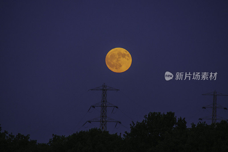 升起的满月在夜空中