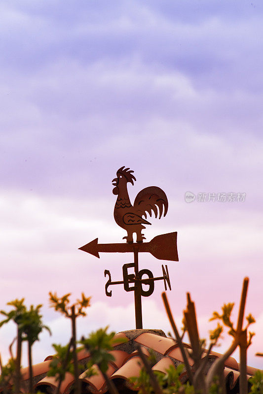 公鸡形状的风向标，日落背景。