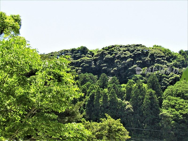 日本。五月青山蓝天。