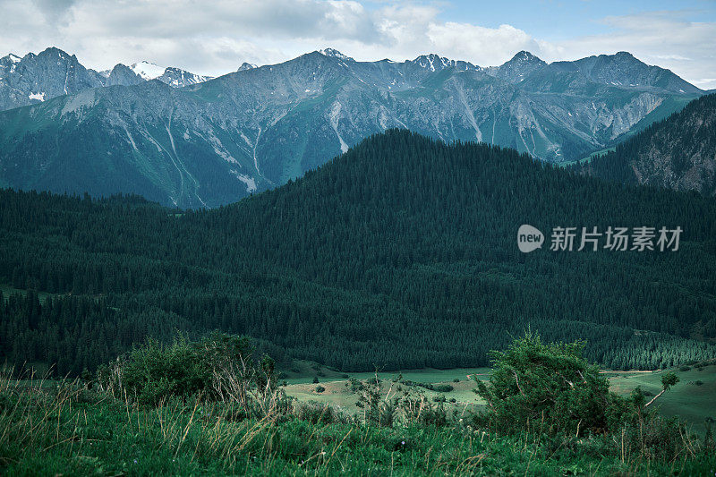 夏季山脊的高角度视图